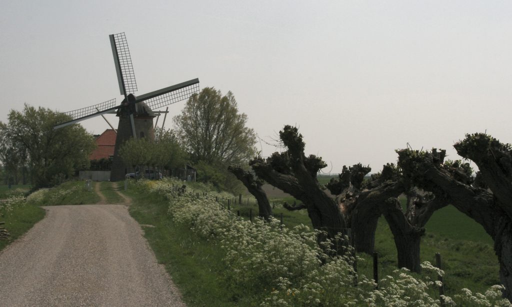 Wissenkerke