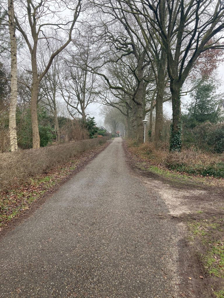 de Wijk