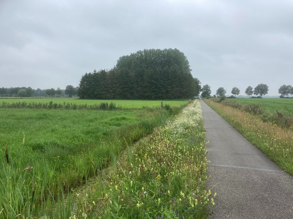 Hollandscheveld