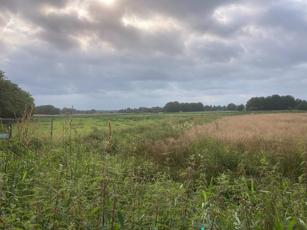 Zuidwolde
