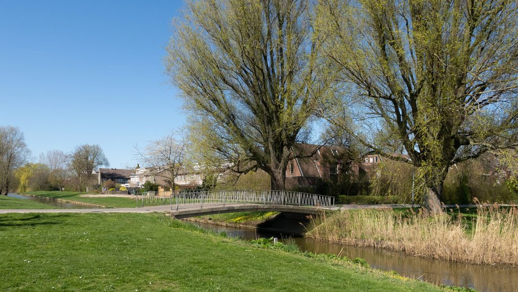 Duiven