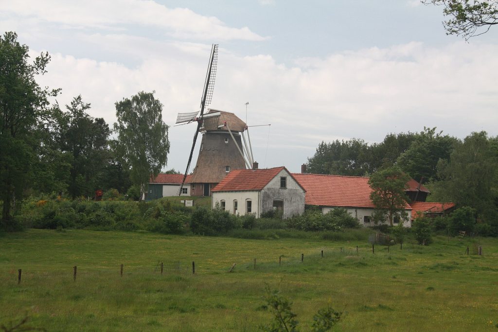 Wapenveld