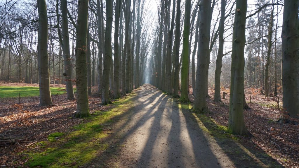Warnsveld