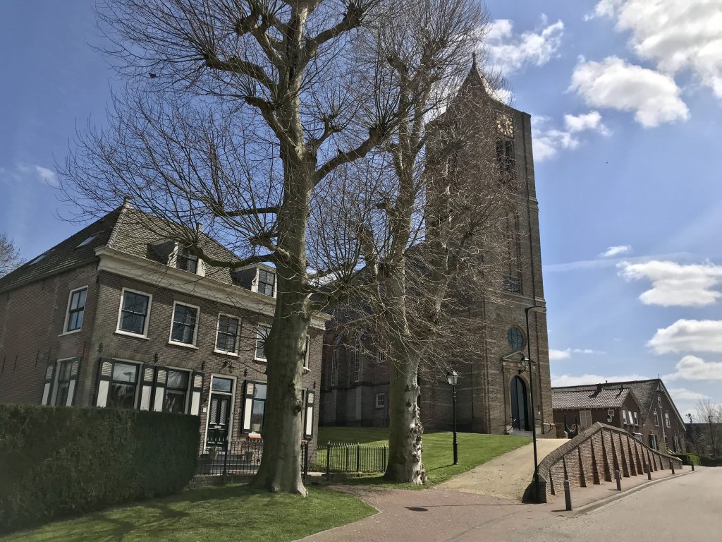 Hoornaar