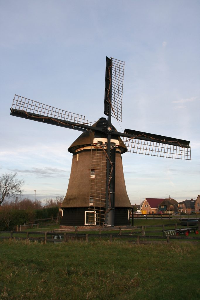 Koedijk