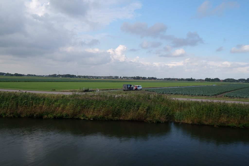 Midwoud