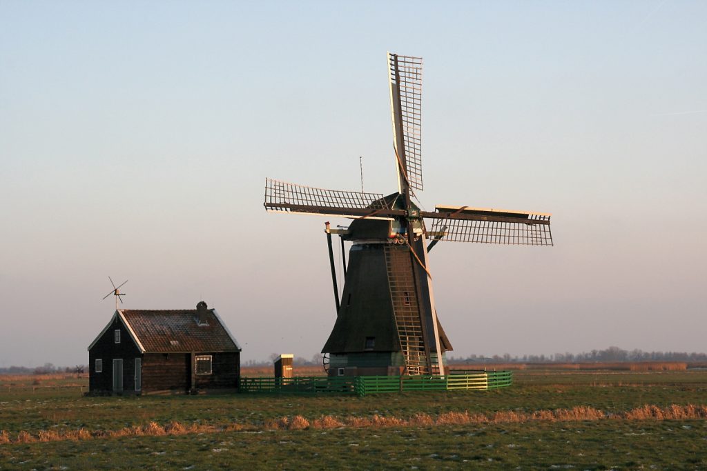 Wormer